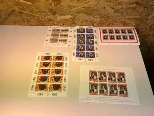 Österreich Kleinbogen 2008 gestempelt (34887)