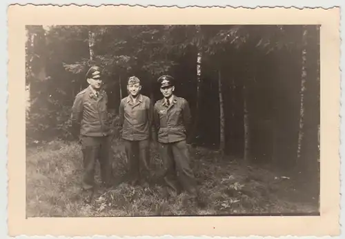 (F31075) Orig. Foto Luftwaffe-Soldaten am Waldrand 1940er