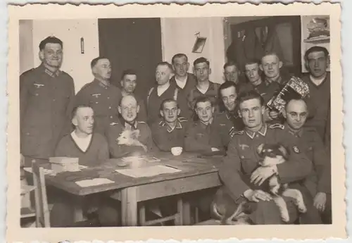 (F9868) Orig. Foto deutsche Soldaten mit Hunden in der Schreibstube 1940er