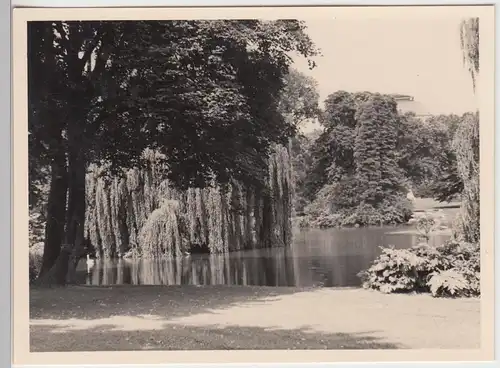 (F9803) Orig. Foto Wiesbaden, Am Warmen Damm 1930er