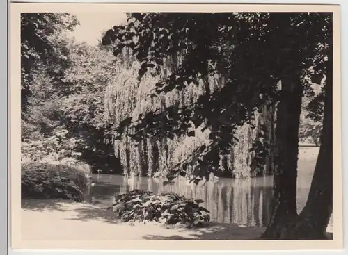 (F9801) Orig. Foto Wiesbaden, Warmer Damm 1930er