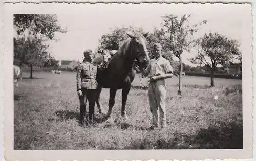 (F977) Orig. Foto Wehrmacht-Soldaten mit Pferd, 1940er