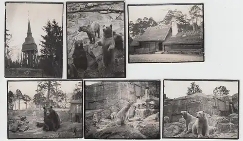 (F9761) 6x Orig. Foto Stockholm Skansen, Tierpark, vor 1945