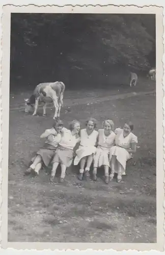 (F9720) Orig. Foto Frauen liegen auf Wiese bei den Kühen vor 1945