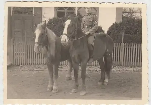 (F971) Orig. Foto Wehrmacht-Soldat mit 2 Pferden, 1940er