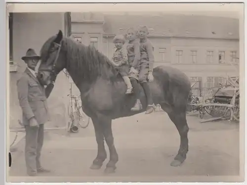 (F9672) Orig. Foto drei Kinder auf einem Pferd, Bauernhof 1910/20er