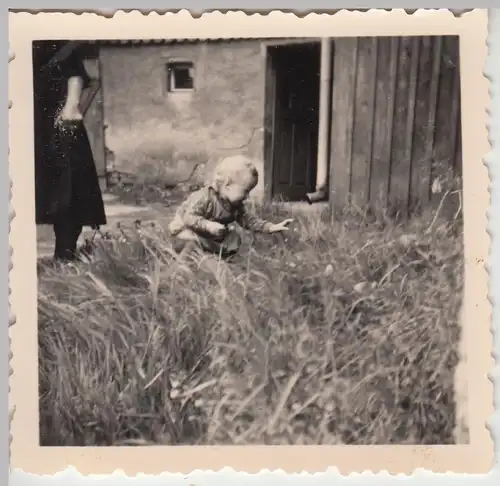 (F9635) Orig. Foto Kleinkind entdeckt etwas im Gras, Klingenthal 1959