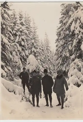 (F9447) Orig. Foto Horní Blatná, Bergstadt Platten, Skiwanderer, verschneite Bäu