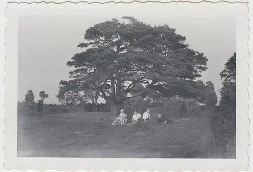 (F9328) Orig. Foto Müden (Örtze), Personen beim Löns-Denkmal 1936