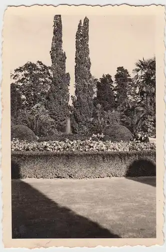 (F9290) Orig. Foto Bad Pyrmont, Partie im Palmengarten 1937