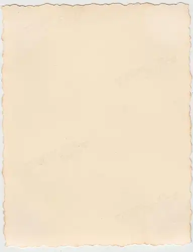 (F9281) Orig. Foto Hameln, Paar spaziert in einem Park 1937