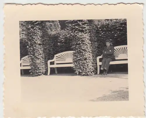 (F9216) Orig. Foto Bad Pyrmont, Partie im Palmengarten 1936