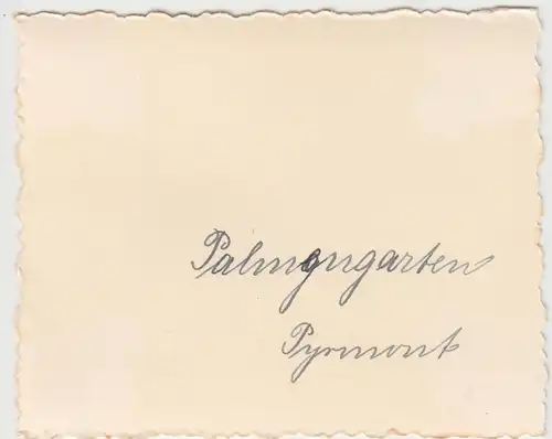 (F9216) Orig. Foto Bad Pyrmont, Partie im Palmengarten 1936