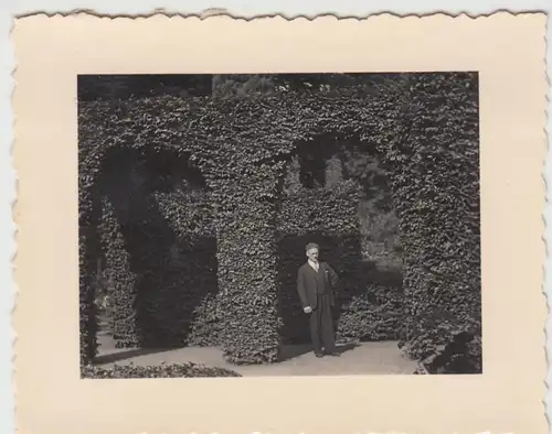 (F9215) Orig. Foto Bad Pyrmont, Partie im Palmengarten 1936