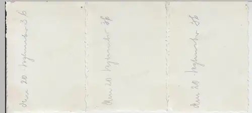 (F8874) 3x Orig. Foto Kind Rosemarie mit Blumen im Freien, 1936