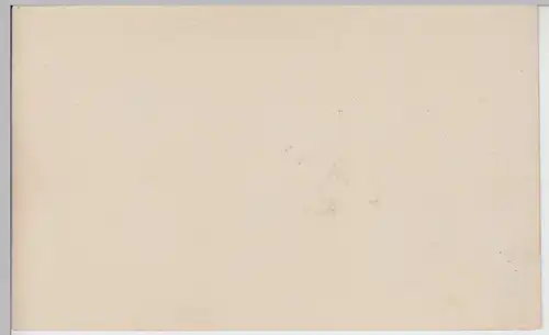 (F8740) Orig. Foto Festumzug religiös, unbekannter Ort