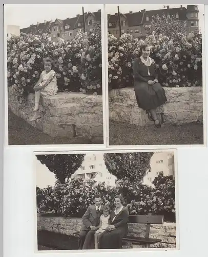 (F8695) 3x Orig. Foto Personen sitzen in einem Park, Wohnhäuser, Rosen, vermutl.