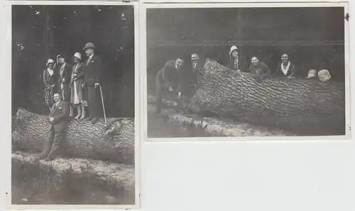 (F8680) 2x Orig. Foto Personen an einem liegenden Baumstamm, Spaziergang 1930er