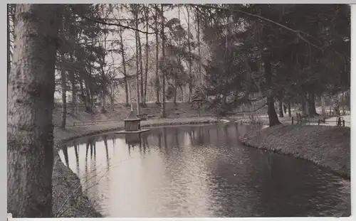 (F8610) Orig. Foto Partie an einem Teich, Park, 1920/30er, vermutl. Erfurt