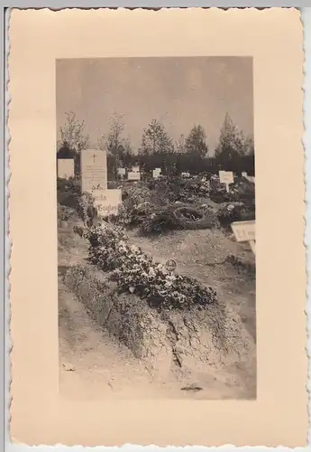 (F8584) Orig. Foto Friedhof, Grabstätte (möglw. Zeitz o. Erfurt), 1930er
