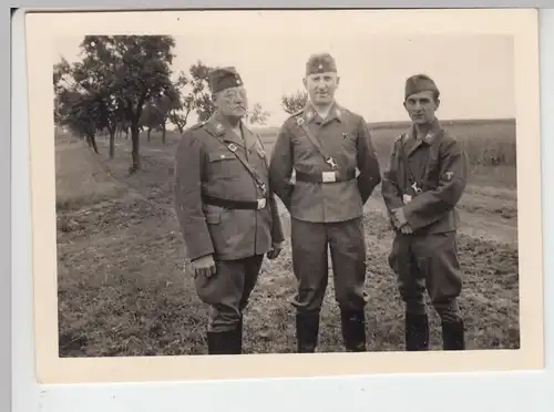 (F8461) Orig. Foto Wehrmacht Soldaten / Offiziere am Feldrand