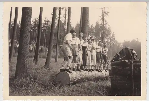 (F8193) Orig. Foto Gründlach bei Heroldsberg, Wandergruppe a.e. gefällten Baum 1