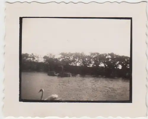 (F7967) Orig. Foto Insel Neuwerk, Partie 1932