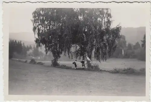 (F7859) Orig. Foto Wanderer an einer Birke, bei Lößnitz / Einsiedel 1933