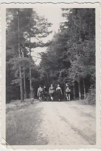 (F7853) Orig. Foto Wanderung am Filzteich i. Schneeberg, 1933
