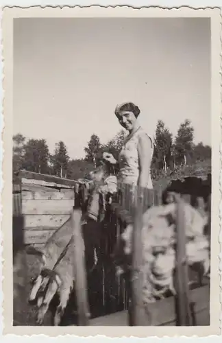 (F7844) Orig. Foto Lößnitz (Erzgeb.), Frau Edith füttert Ziegen b. Steinbruch 19