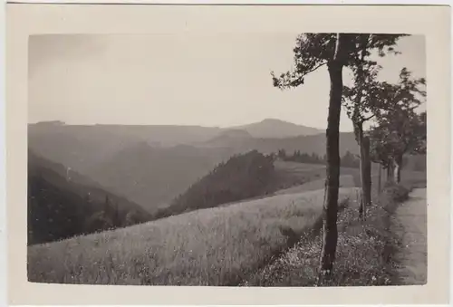 (F7811) Orig. Foto Sächsische Schweiz, Weg zur Buttermilchmühle, 1932