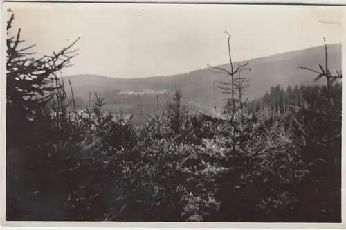 (F7737) Orig. Foto Landschaft in der Nähe von Bad Alexandersbad 1931