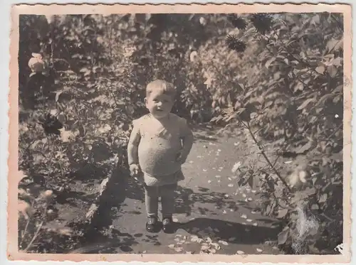 (F7697) Orig. Foto Untertürkheim, Wallmerstr. 23, Kind Hans im Garten 1931
