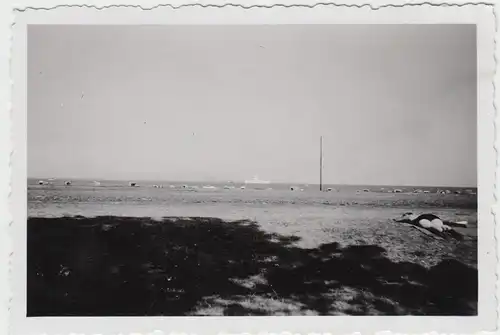(F7495) Orig. Foto Dampfer, Blick vom Strand auf das offene Meer, 1930er