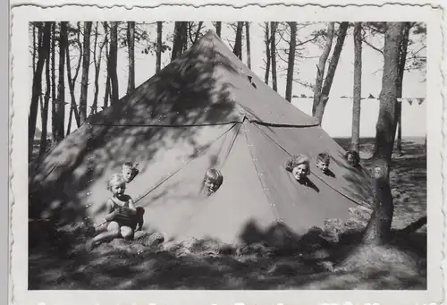 (F7492) Orig. Foto großes Zelt im Wald, Personen stecken Köpfe durch Lüftungslöc