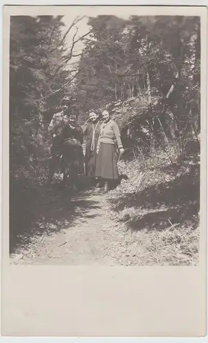 (F7455) Orig. Foto Personen im Freien, Wald, Wanderung, vor 1945