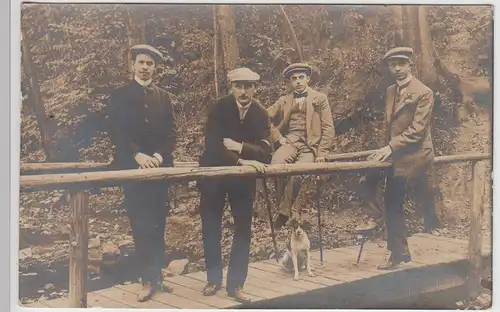 (F7438) Orig. Foto Sülzhayn, Herren mit Hund auf kleiner Holzbrücke, gel. 1911