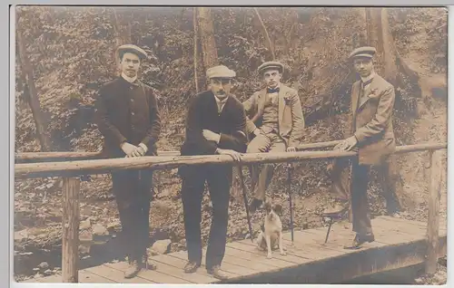 (F7437) Orig. Foto Sülzhayn, Herren mit Hund auf kleiner Holzbrücke, 1911