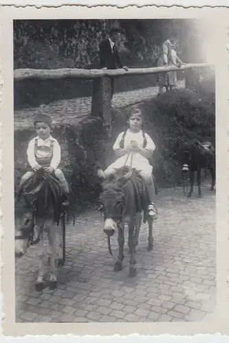 (F7431) Orig. Foto Eisenach, Besuch der Wartburg, Aug. 1936, Kinder auf Eseln