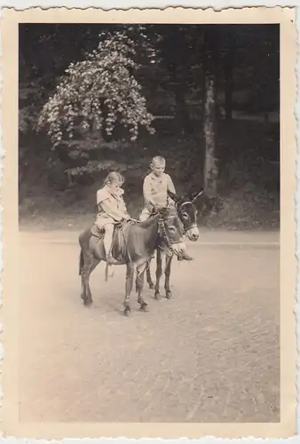 (F7427) Orig. Foto Eisenach, Besuch der Wartburg, Juli 1934, Kinder auf Eseln