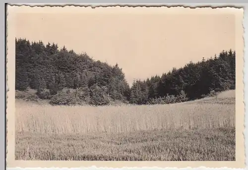 (F7380) Orig. Foto Hirzenhain, Landschaft, Wald im Bergbaugebiet 21./22.6.1936