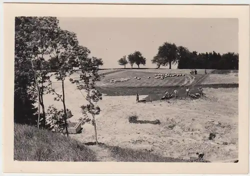 (F7268) Orig. Foto Baustelle der Firma Thosti, Männer arbeiten auf freiem Platz