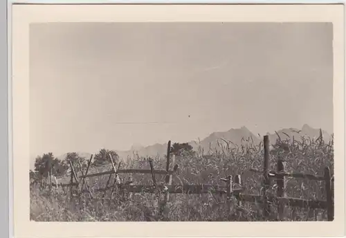 (F7247) Orig. Foto Steinernes Meer, Holzzaun gg. Gebirgskette 1939