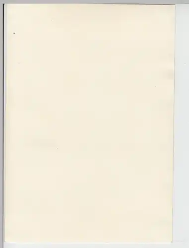 (F7205) Orig. Foto Damen spazieren 1939