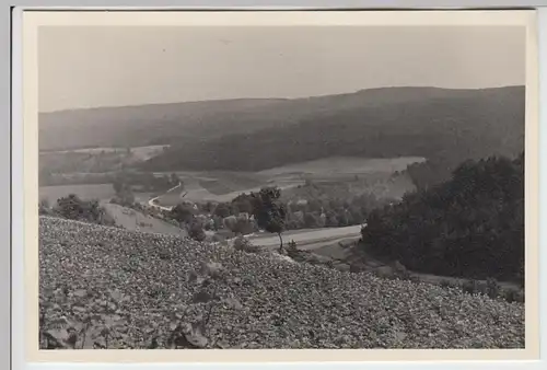 (F7101) Orig. Foto Weimar Umgebung, 1938