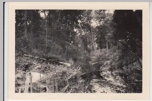 (F7097) Orig. Foto Weimar, Goethepark 1938