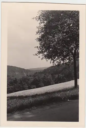 (F7095) Orig. Foto Weimar Umgebung, 1938