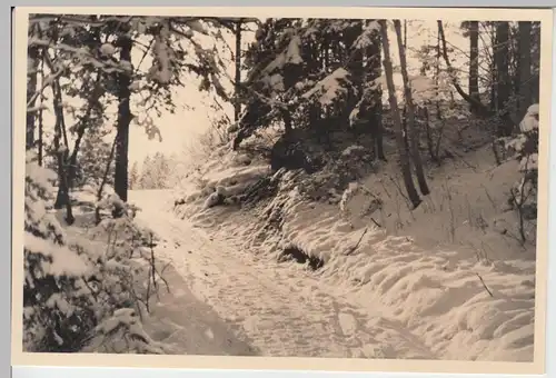 (F6912) Orig. Foto Oberstdorf, Waldpartie 1.1.1938
