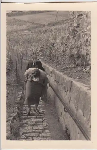 (F6897) Orig. Foto Escherndorf, Personen auf dem Weg zur Vogelsburg Oktober 1937