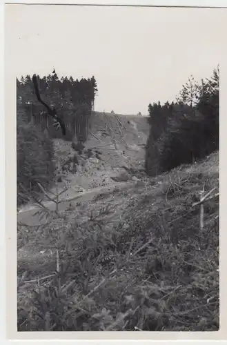 (F6715) Orig. Foto Baustelle, gerodeter Waldabschnitt, Brückenbau 1935